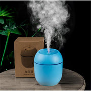 Usb Portable Air Humidifier