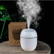 Usb Portable Air Humidifier